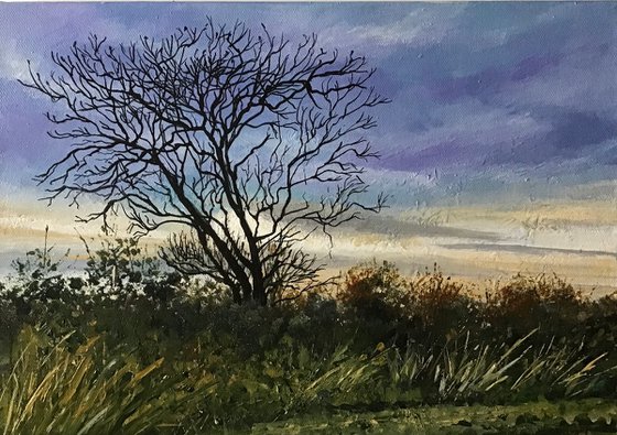 Winter Sunset