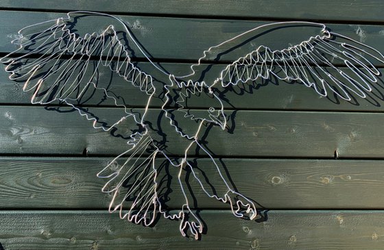 Bald Eagle in Flight Wire Drawing