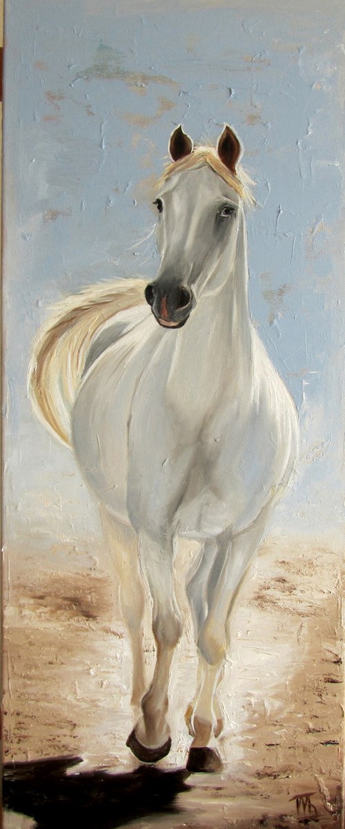 White Horse by Ira Whittaker