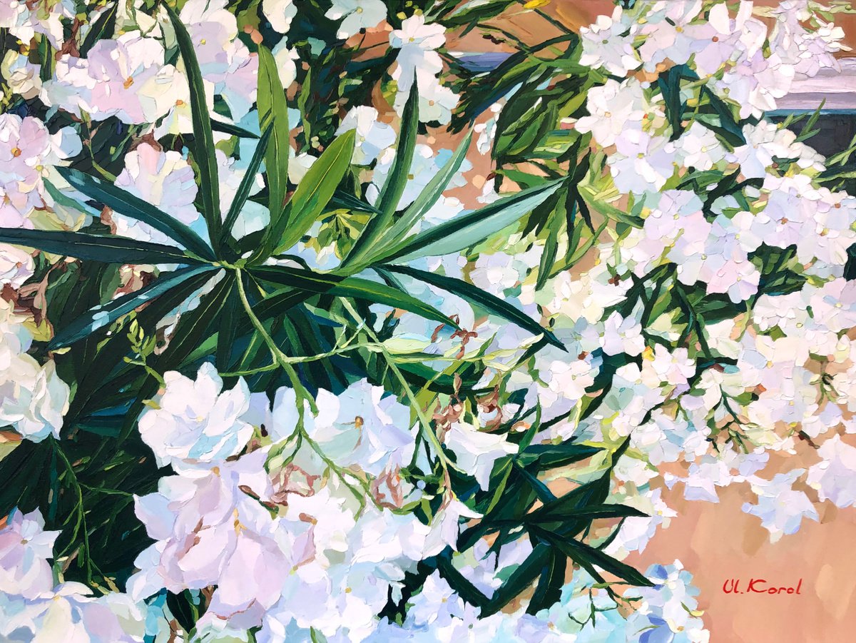 Photorealistic Botanical Oil Painting By Ulyana Korol, 31 X 24", White Oleanders, Original Artwork