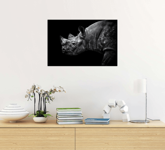 Rhino
