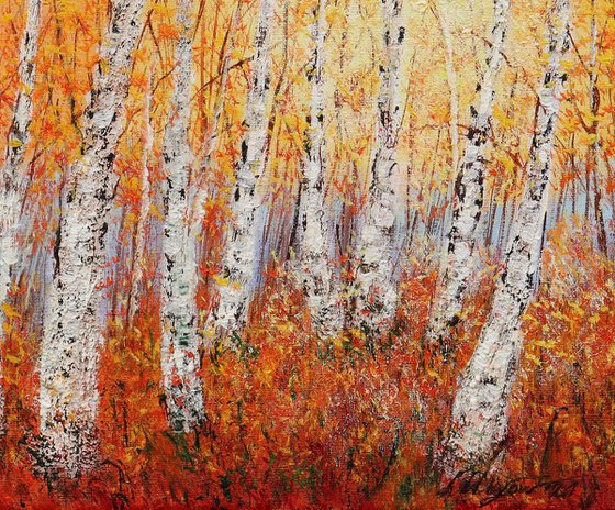 Autumn birch trees