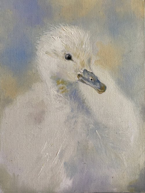 Baby swan by Elvira Sultanova