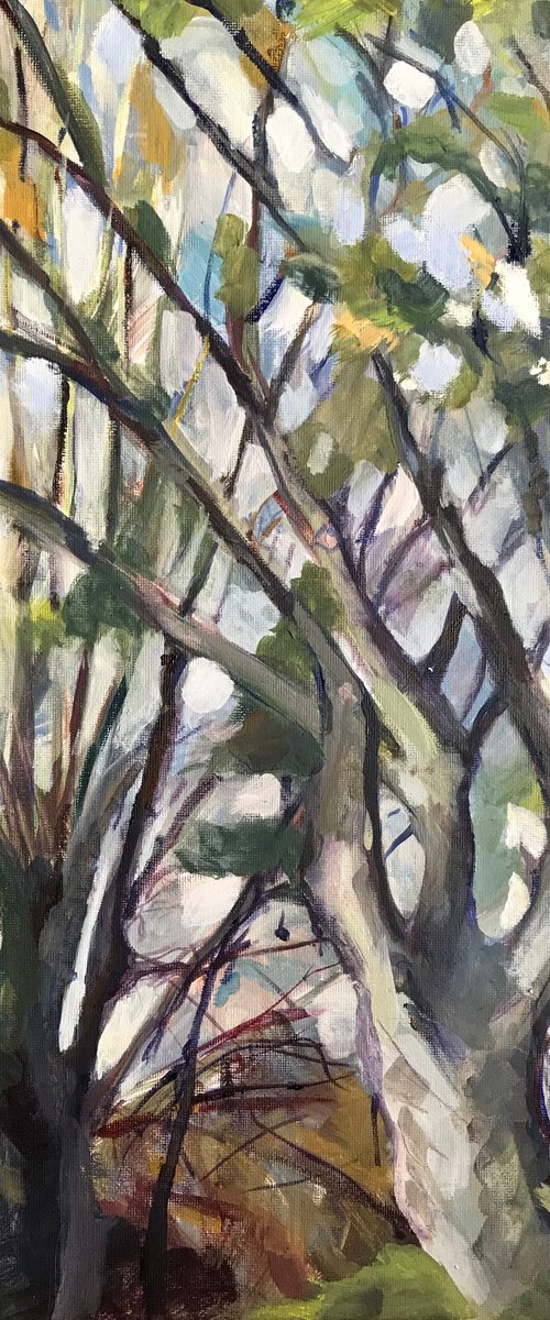 Spring Trees by Sandra Haney