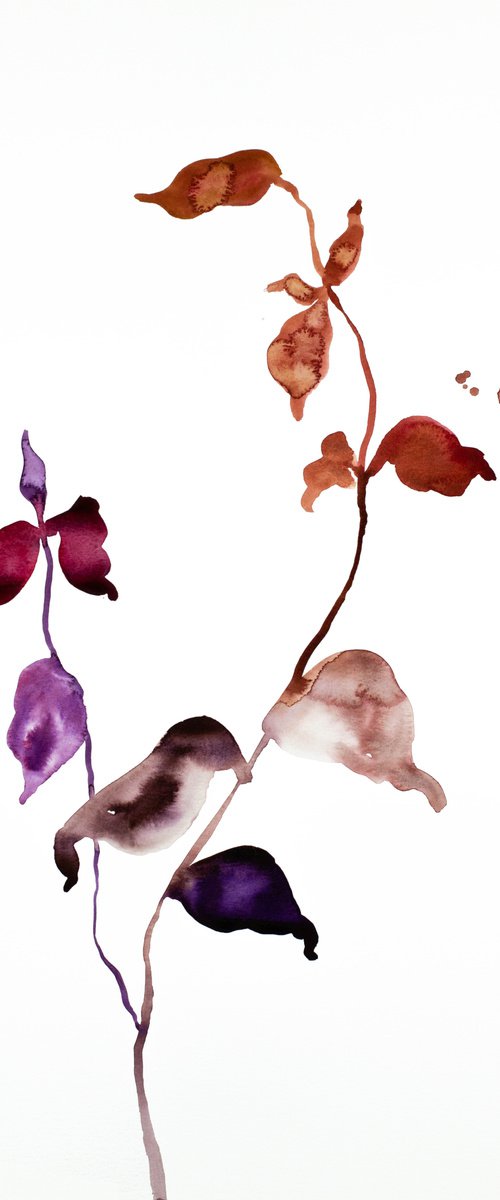 Plant Study No. 53 by Elizabeth Becker
