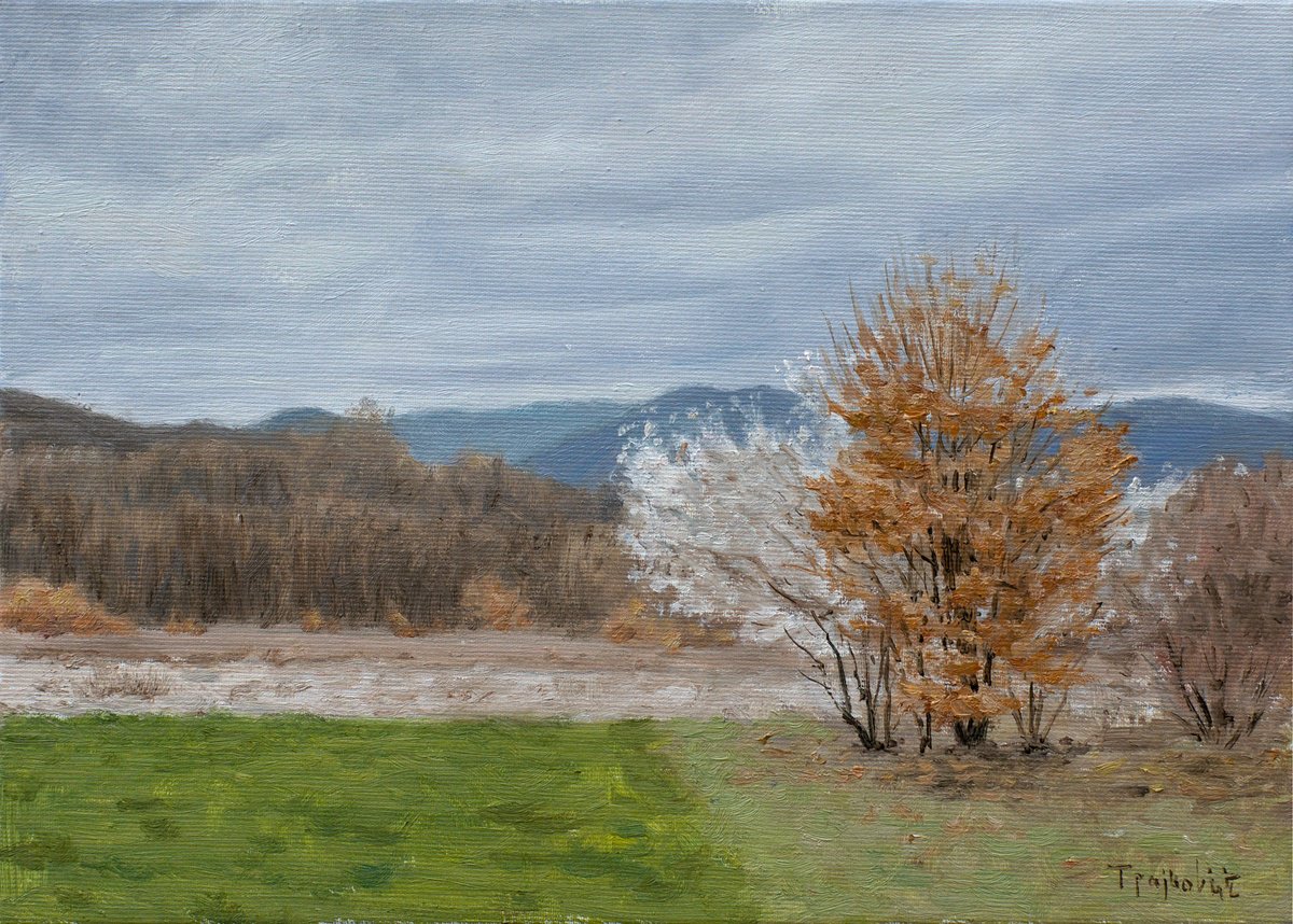 Impressionistic Landscape Oil Painting By Dejan Trajkovic, 14 X 10, The First Sign Of Spring, Original Artwork