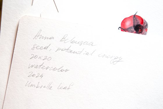 Umbrella leaf; Seeds series
