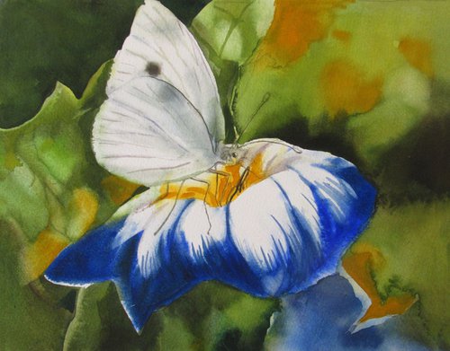 A painting a day #19 "Cabbage white butterfly" by Alfred  Ng