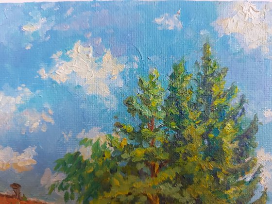 July. Late Afternoon
