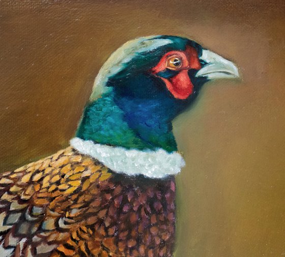 Pheasant