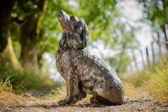 Sitting Working Spaniel 2 BR