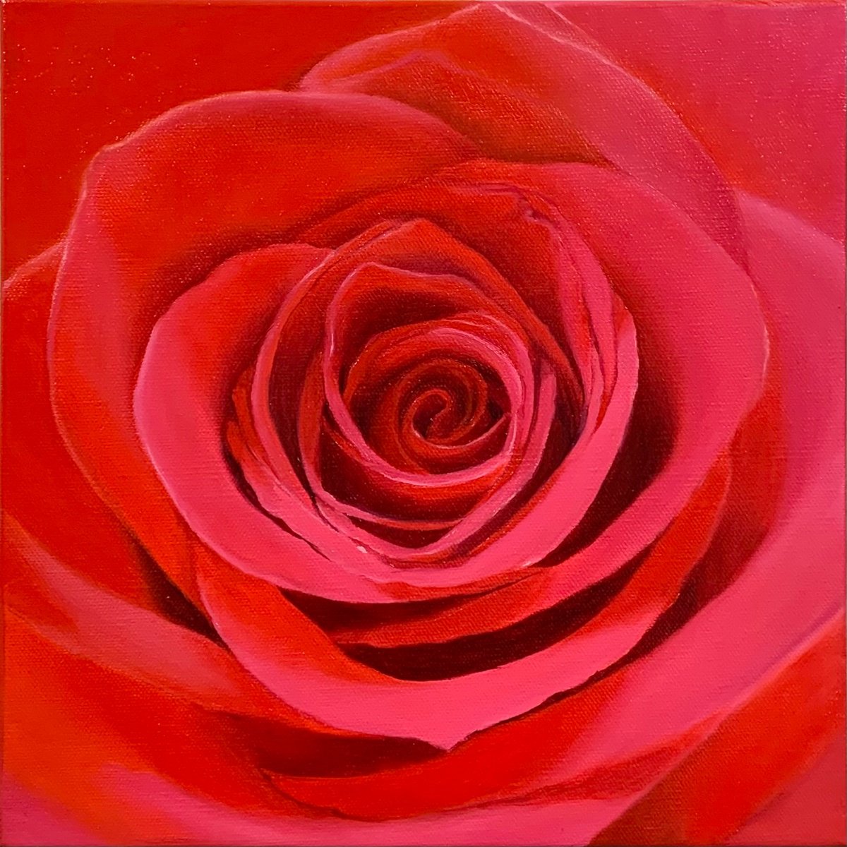 Photorealistic Botanical Oil Painting By Alla Kallass, 12 X 12, True Love. Rose, Original Artwork