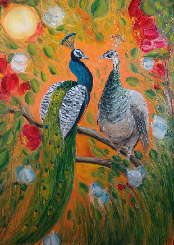 Pair of peacocks