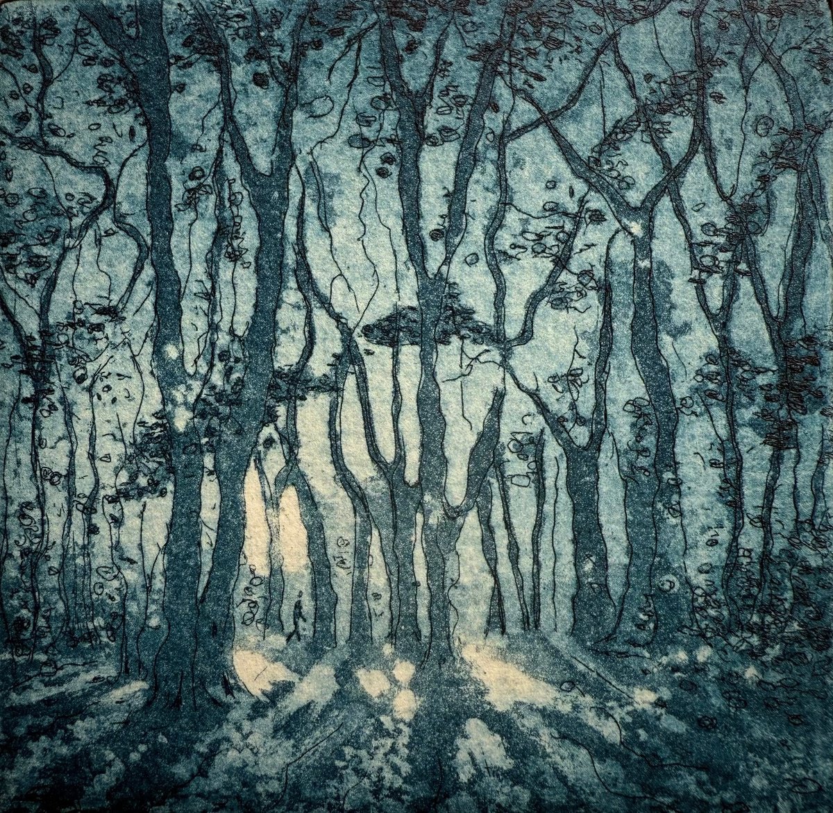 Illustrative Landscape Etchings & Engravings By Rebecca Denton, 7 X 7", Highgate Wood, Original Artwork