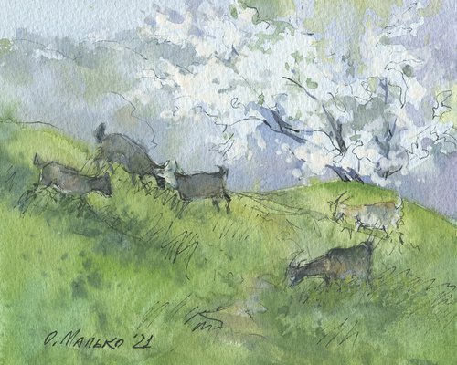 Spring again. Sketch with goats / Original watercolor. Small size pictures. At a grassland by Olha Malko