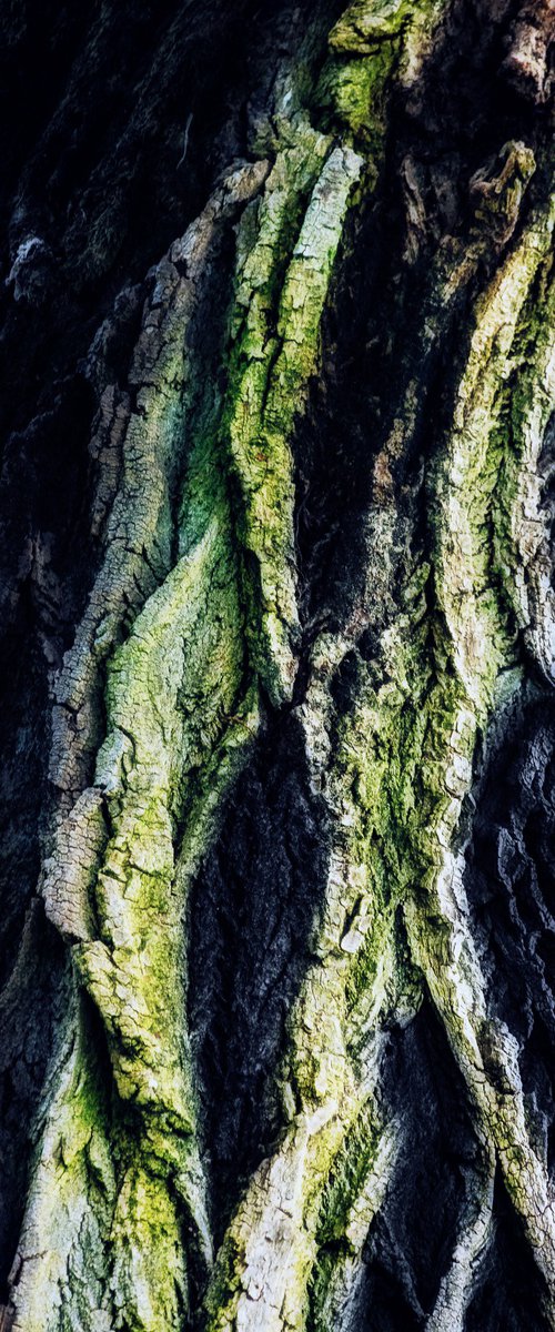 Lifeblood #11 by Karim Carella