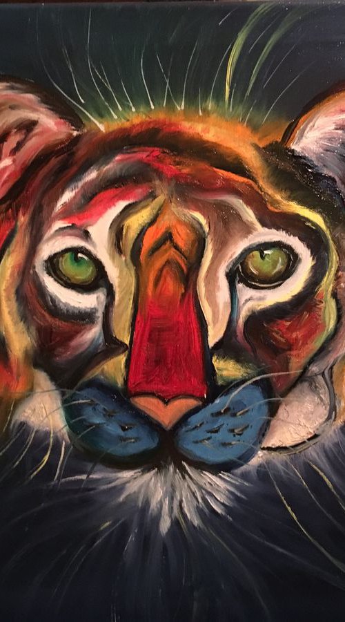 Flying Tiger by Timea  Valsami
