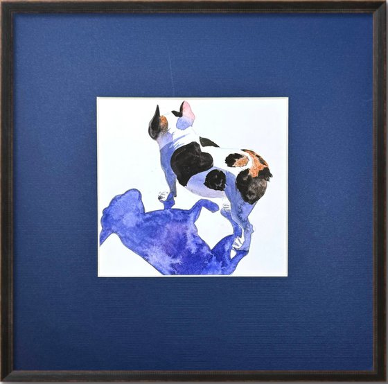 French Bulldog Black White Dog