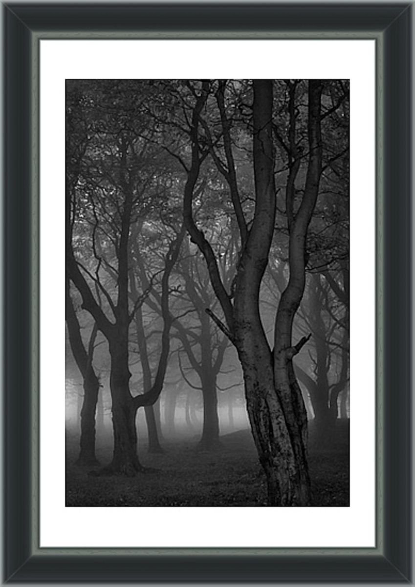Moonlit Copse - 12x18 Limited Edition Framed Print by Ben Robson Hull