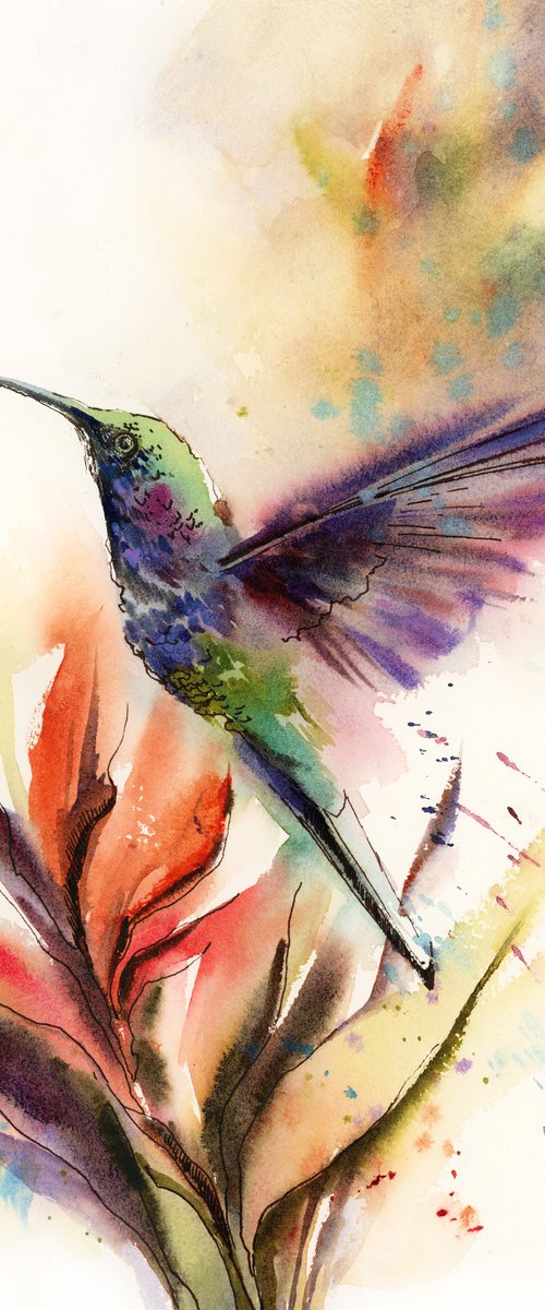 Hummingbird on Tropical Flower by Sophie Rodionov