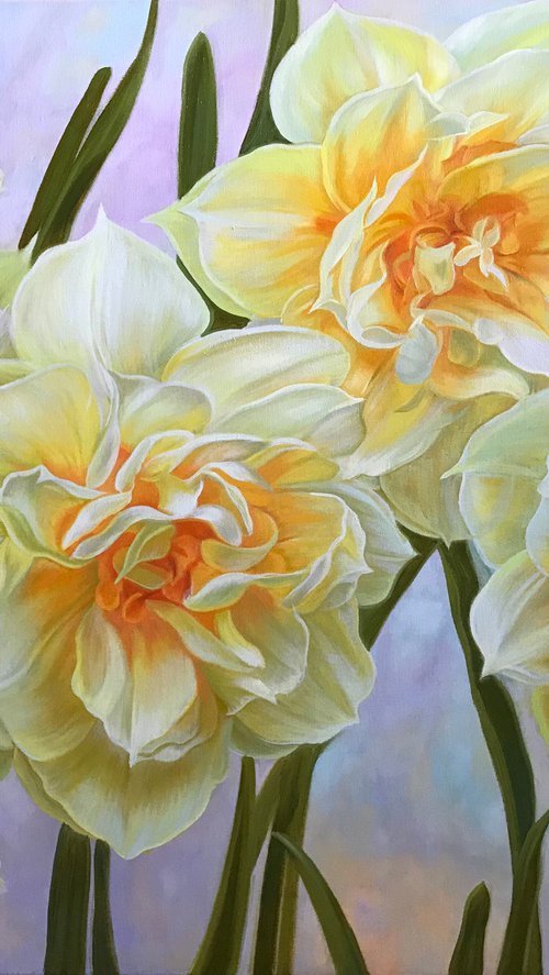 Yellow daffodils by Elena