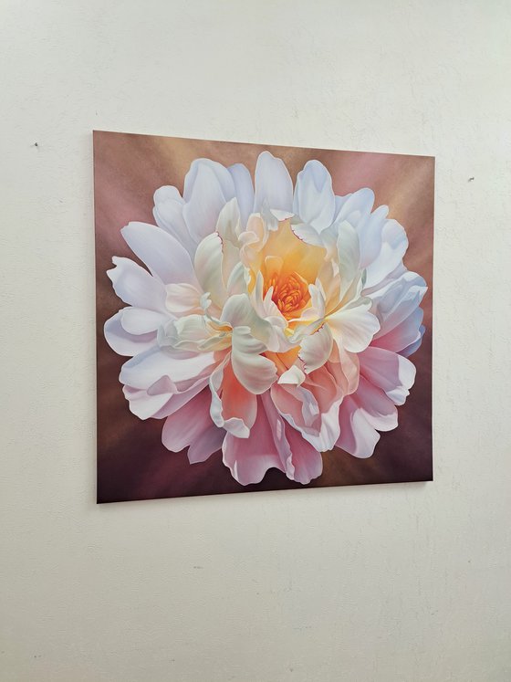 Marvelous peony