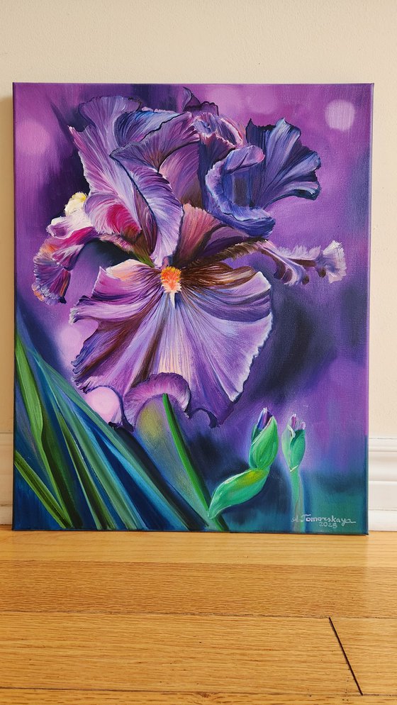 Iris in Barocco Style.