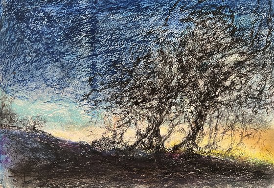 Glow of the Setting Sun