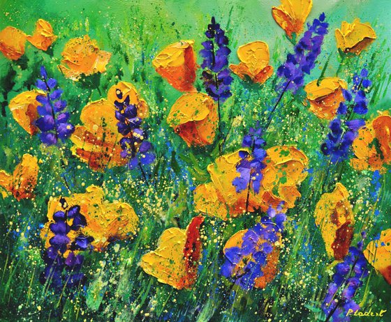 Yellow and purple flowers   -6523