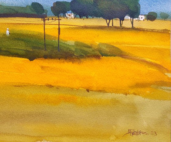 Indian yellow, summer light 1