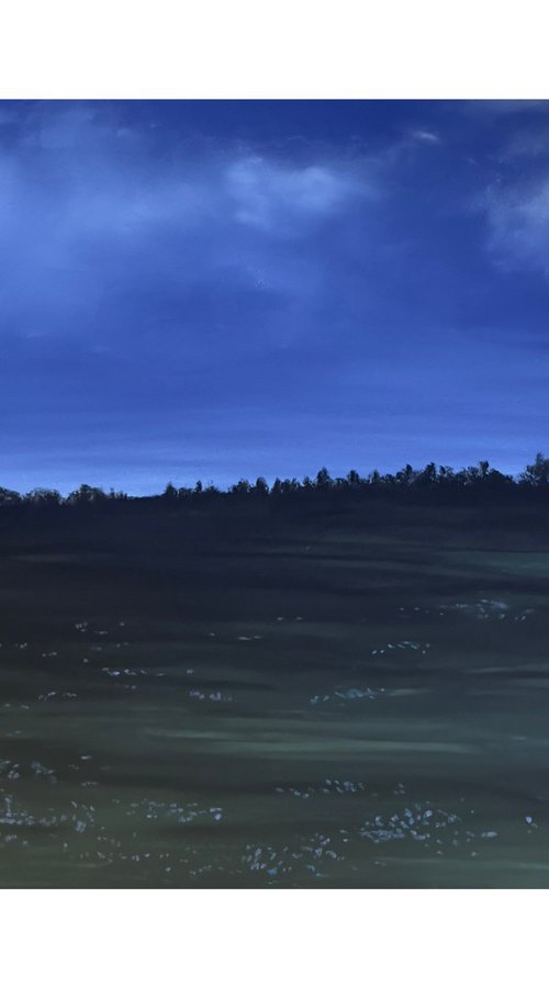 Wiese in der blauen Stunde by Sophie Kruszynski