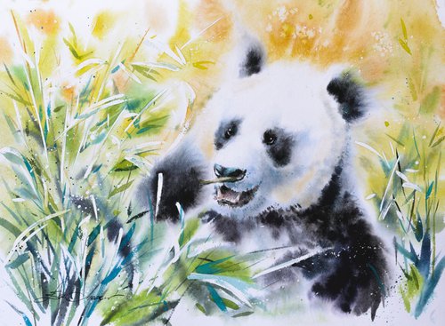 Panda by Eve Mazur