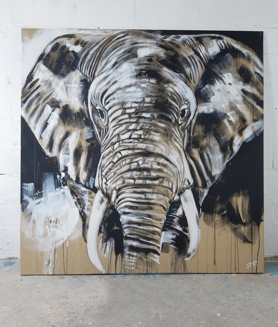 ELEPHANT #14 - Series 'One of the big five'