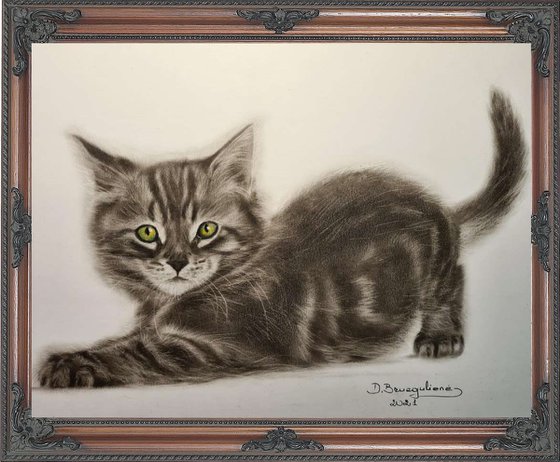Oil painting reasilm realistic on paper cat ,, Kitten,,