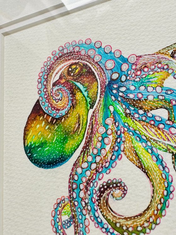 Framed Watercolour Octopus