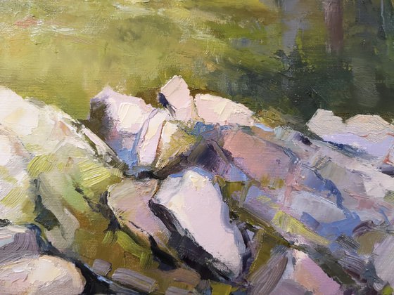 Joseph Howe waterfall