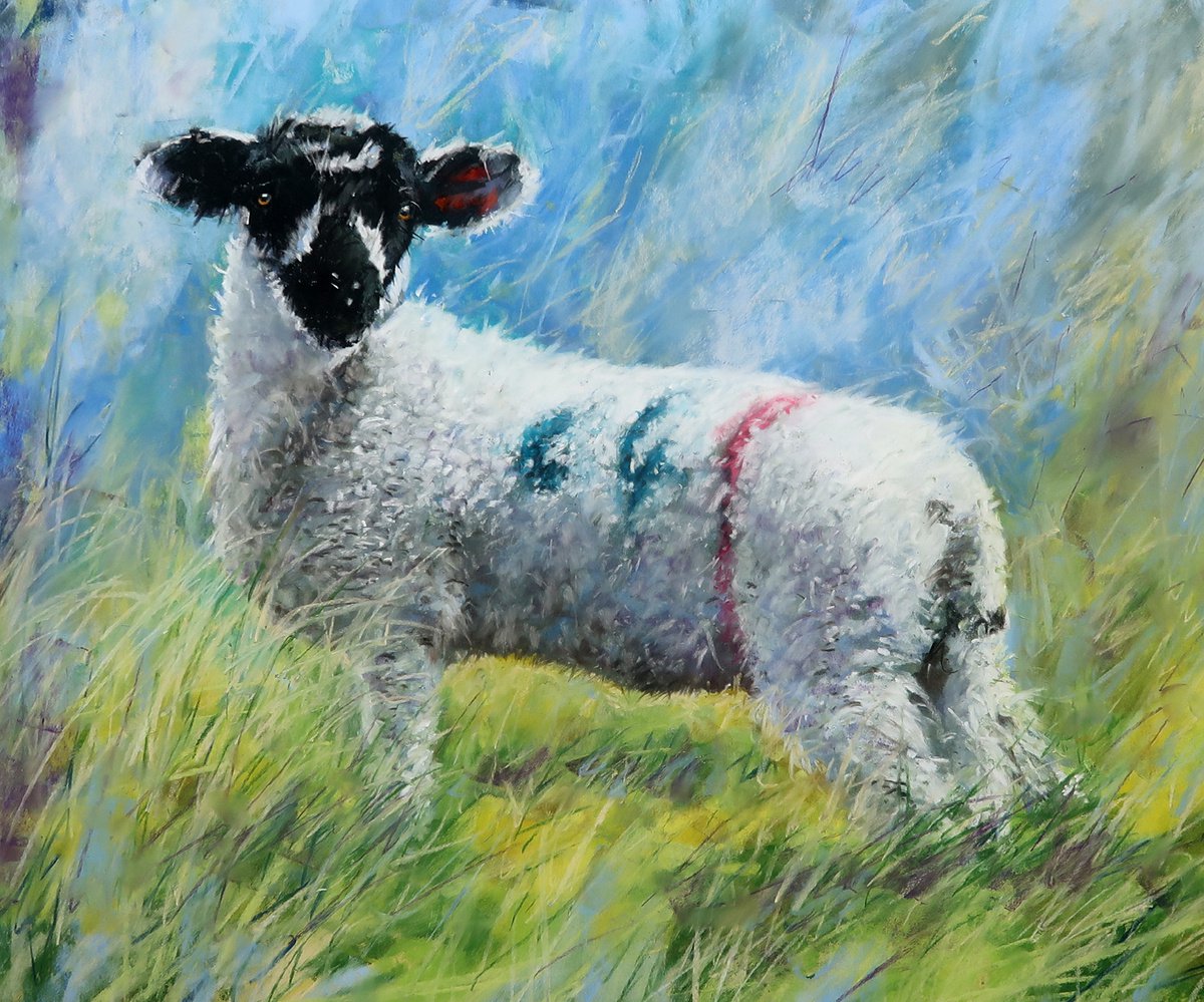 Holmfirth Lamb by Brian Halton