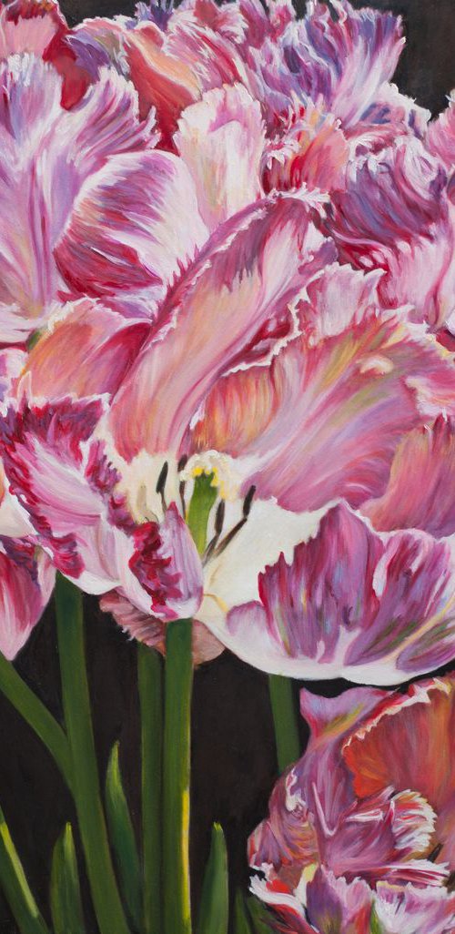 Tulips of Earlshall Garden by Liudmila Pisliakova