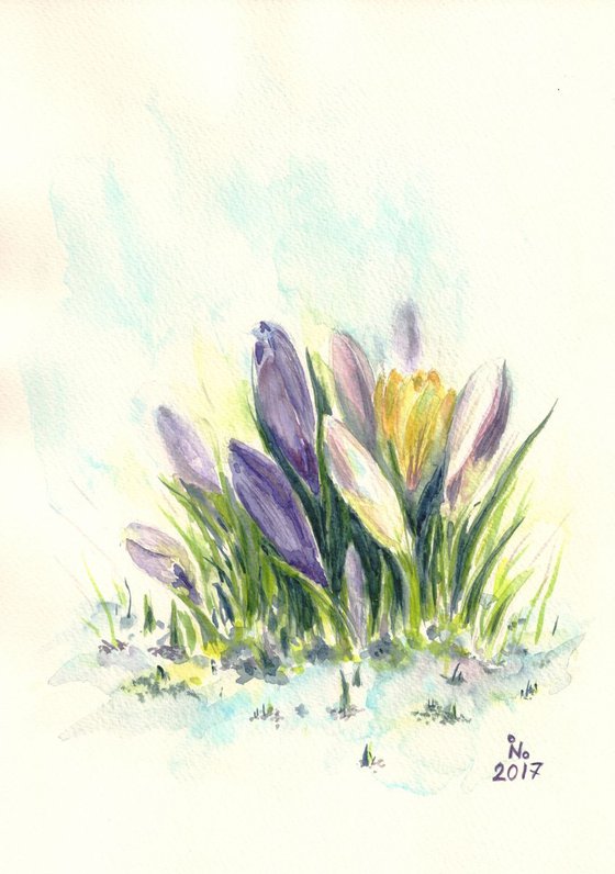 Crocuses