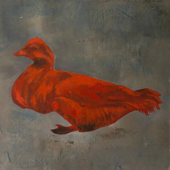 Fluffy duck 30x30