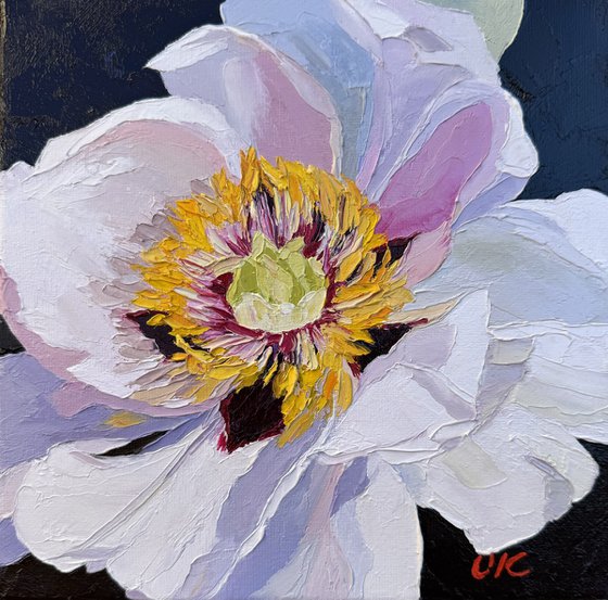 Flamenco peony