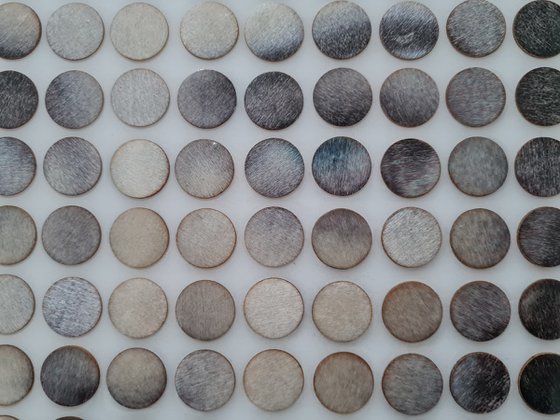 I came last night (n.726)