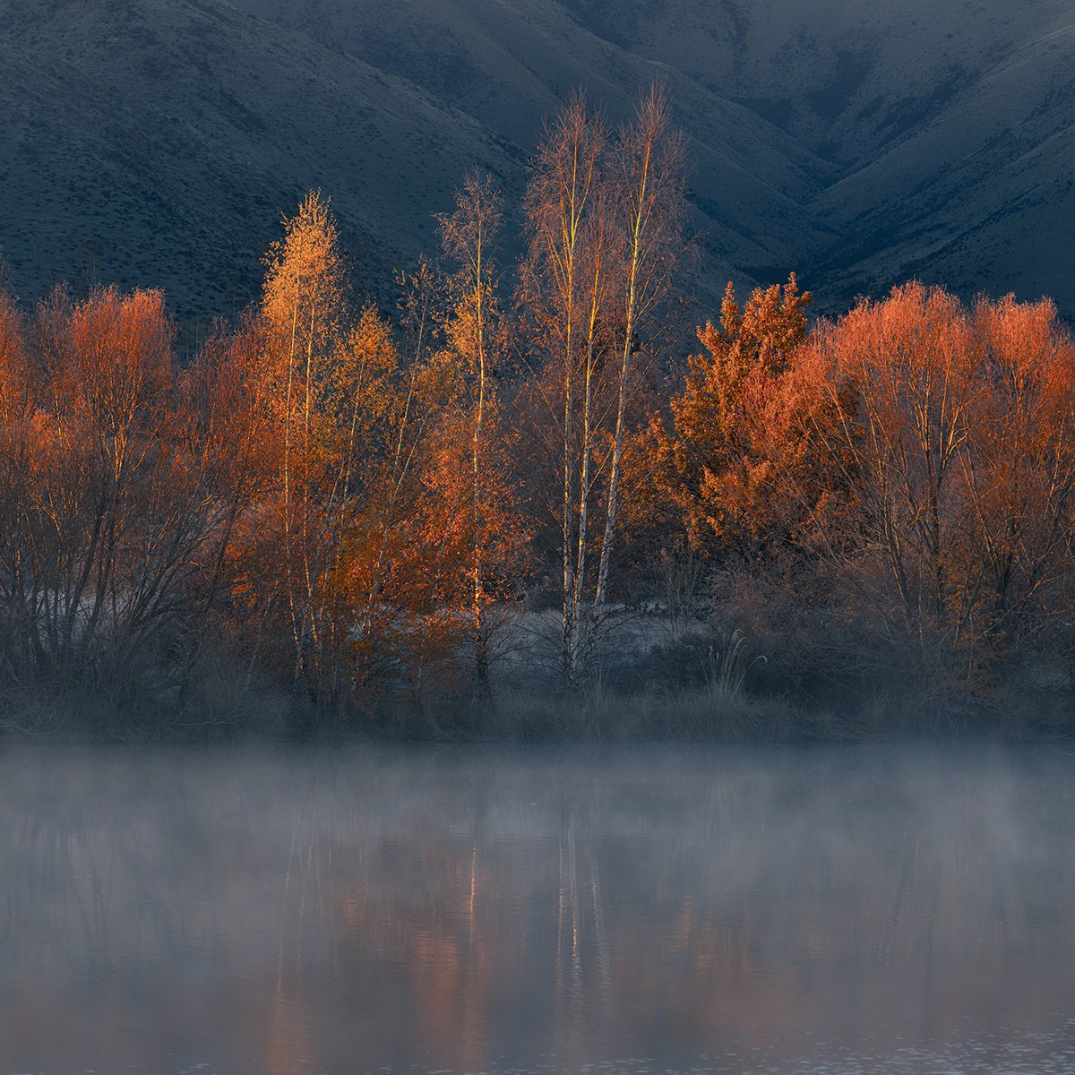 Photorealistic Landscape Photograph By Nick Psomiadis, 35 X 35", Mackenzie Country, Original Artwork