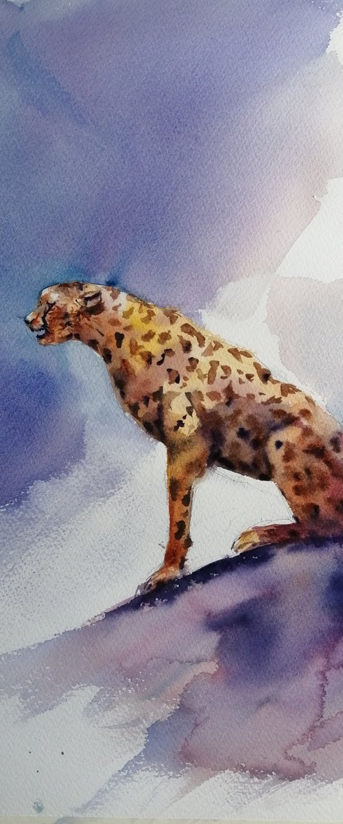 leopard 2 by Giorgio Gosti