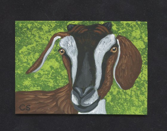 ACEO ATC Original Miniature Painting Brown Goat Farmyard Art-Carla Smale