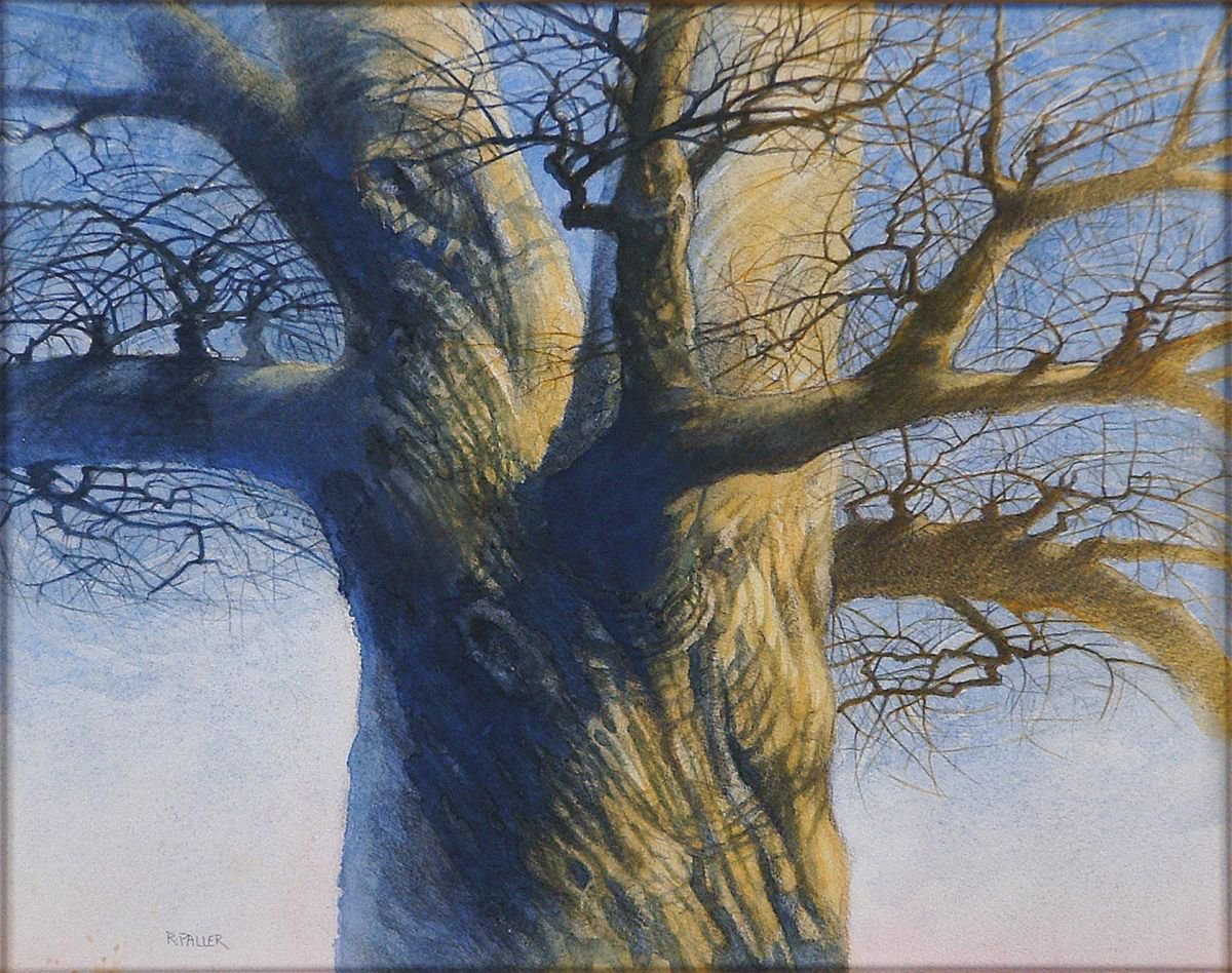 Expressive Botanical Watercolour By Rick Paller, 14 X 11", Oak Tree In Winter, Original Artwork