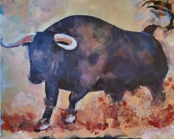 Bull serie 9