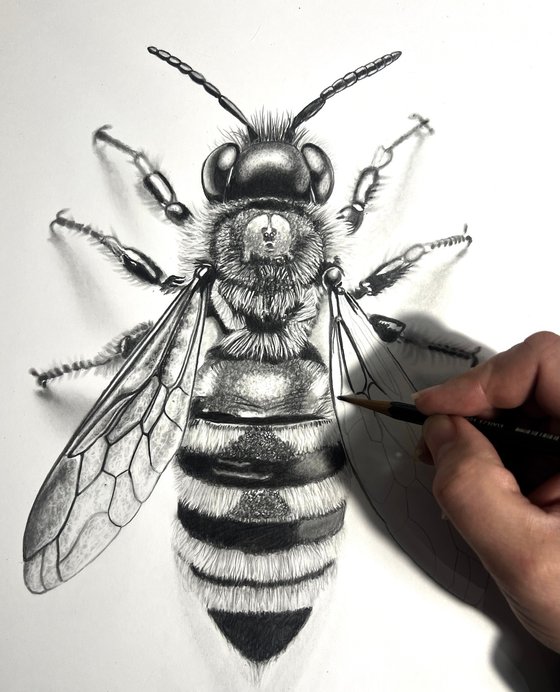 Bee in Pencil #3