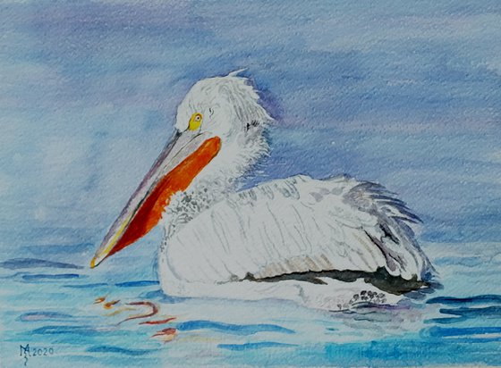 PELICAN