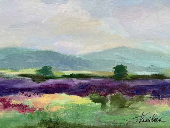 May Lavender Field I